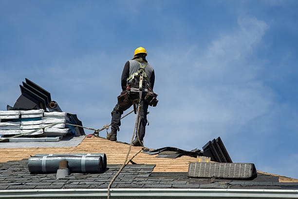 Professional Flat Roof Repair technician working in La Grange, TX